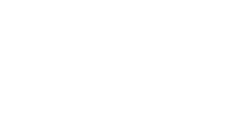 Immy Logo